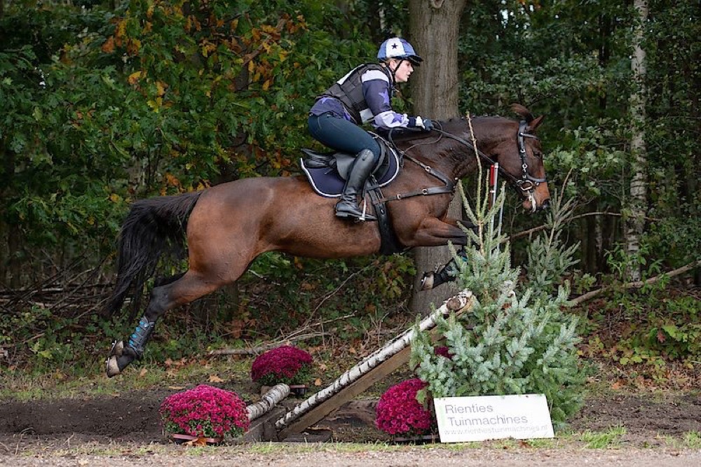 Springende combinatie tijdens een cross